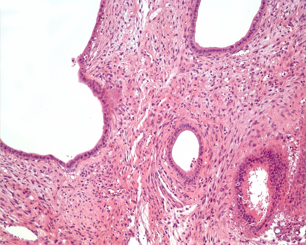 c16
